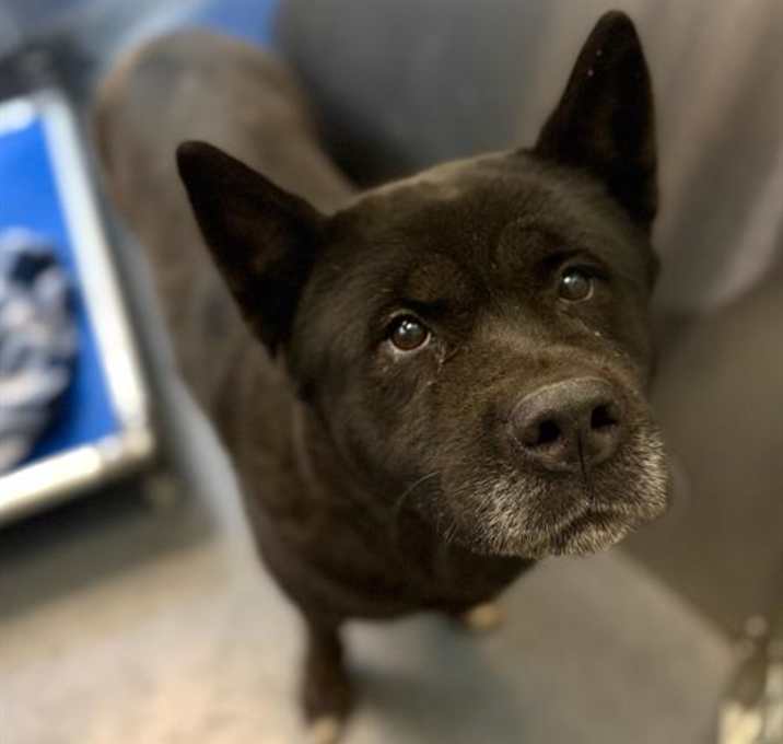 Photo of ONYX