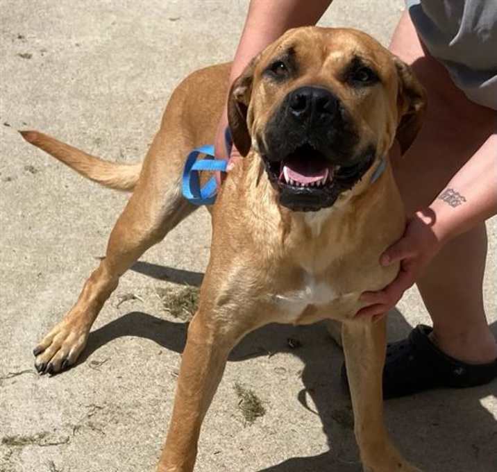 Photo of SCOOBY