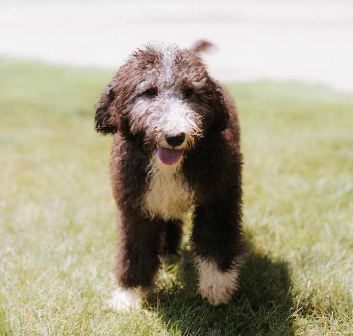 Photo of Gia