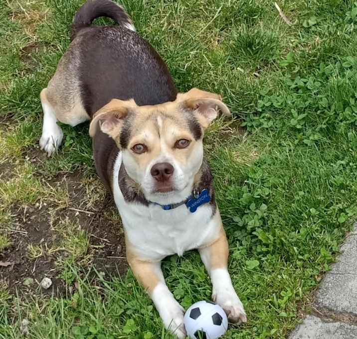 Photo of Winston