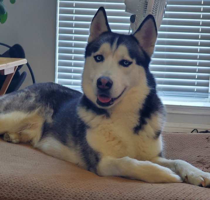 Photo of Max