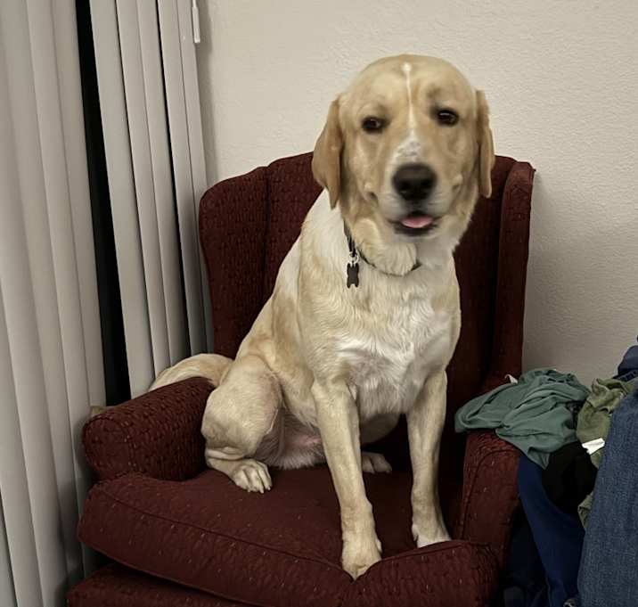 Photo of Murphy
