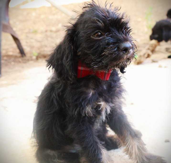 Photo of Louie VV