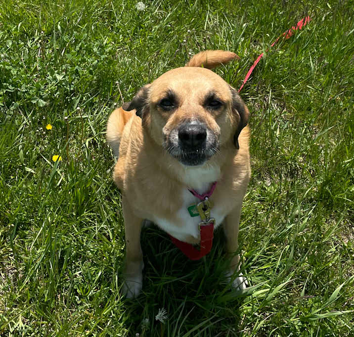 Photo of Charley