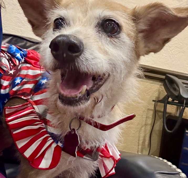 Photo of Molly Maid