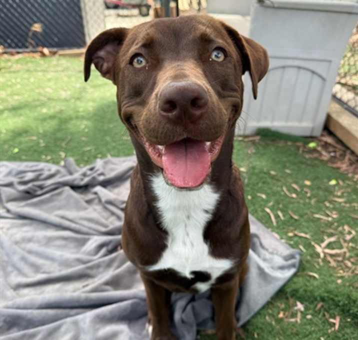 Photo of *MOCHA
