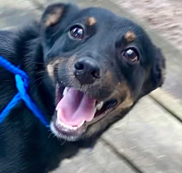 Photo of Orbit
