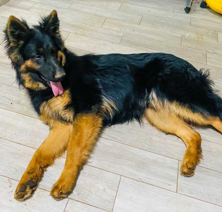 Photo of Charlie