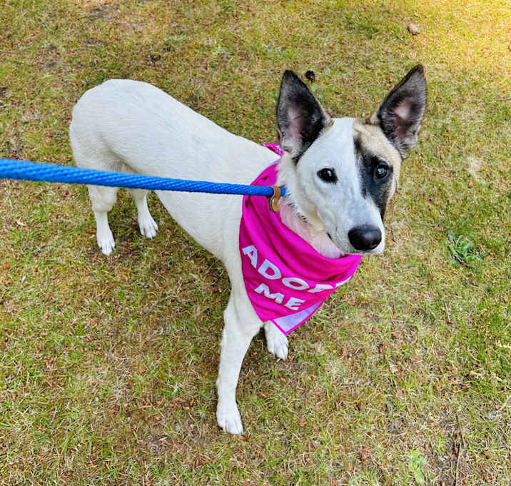 Photo of Maddie Boo
