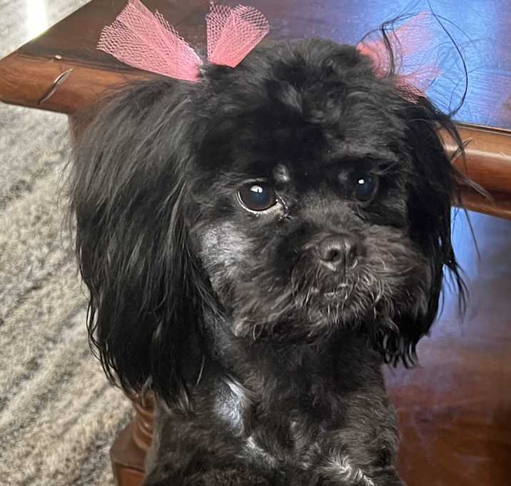 Photo of Kali