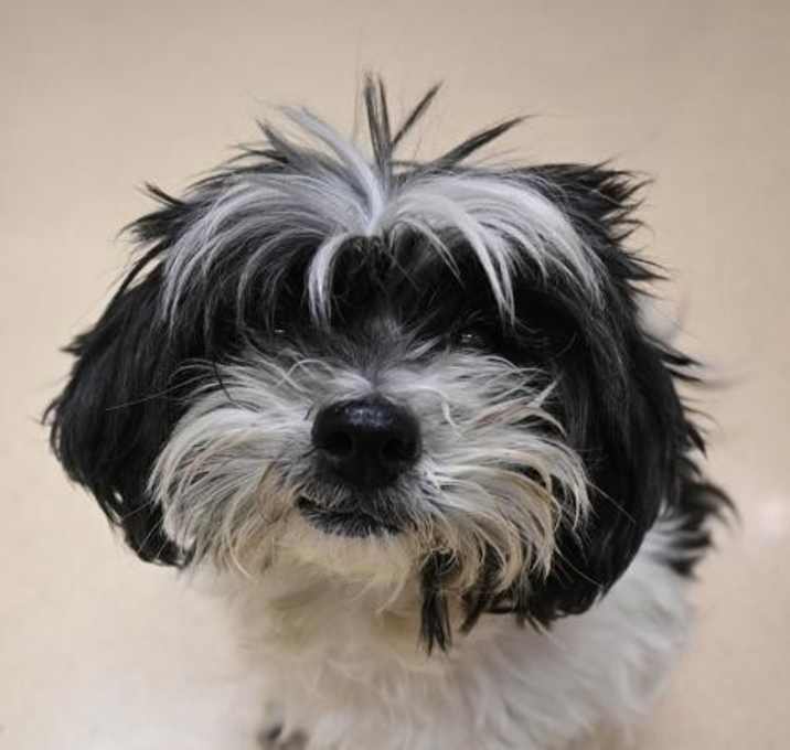 Photo of Gary