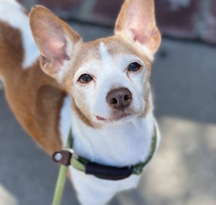 Photo of Frodo