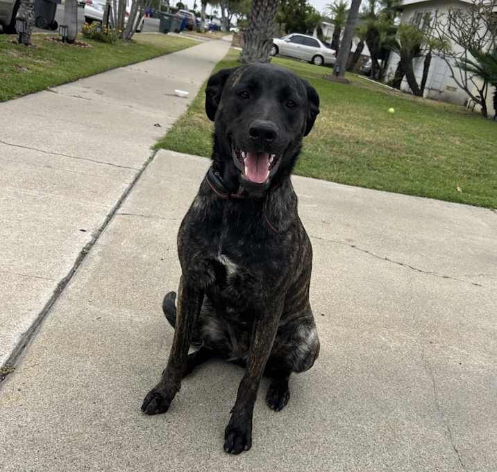 Photo of Daisy
