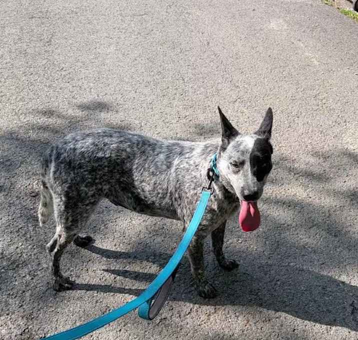 Photo of Sam