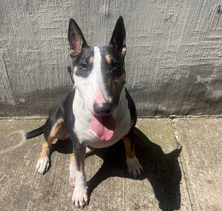 Photo of Penelope “Nelly”