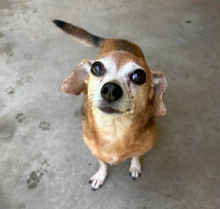 Photo of Teenie