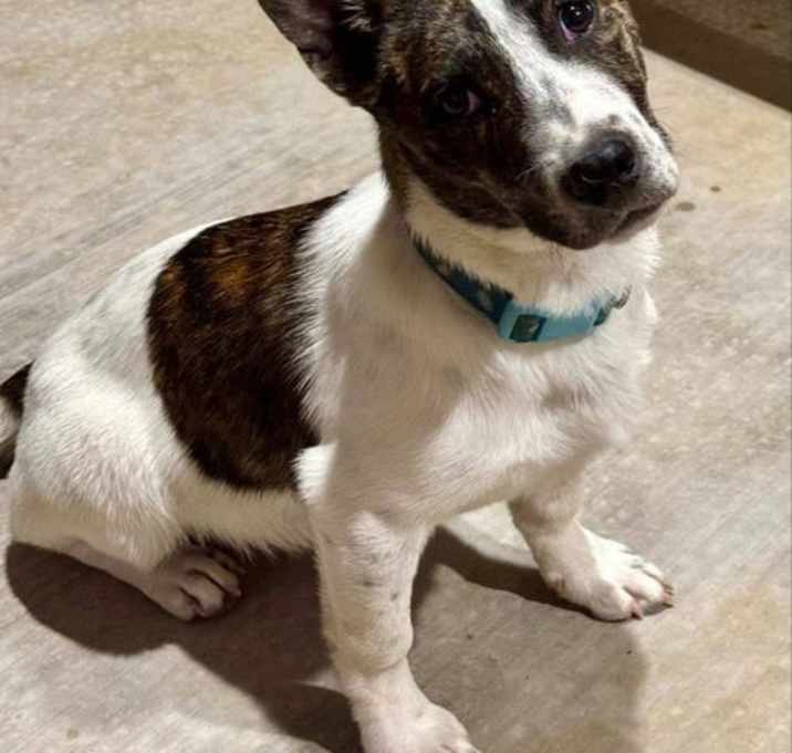 Photo of Penelope