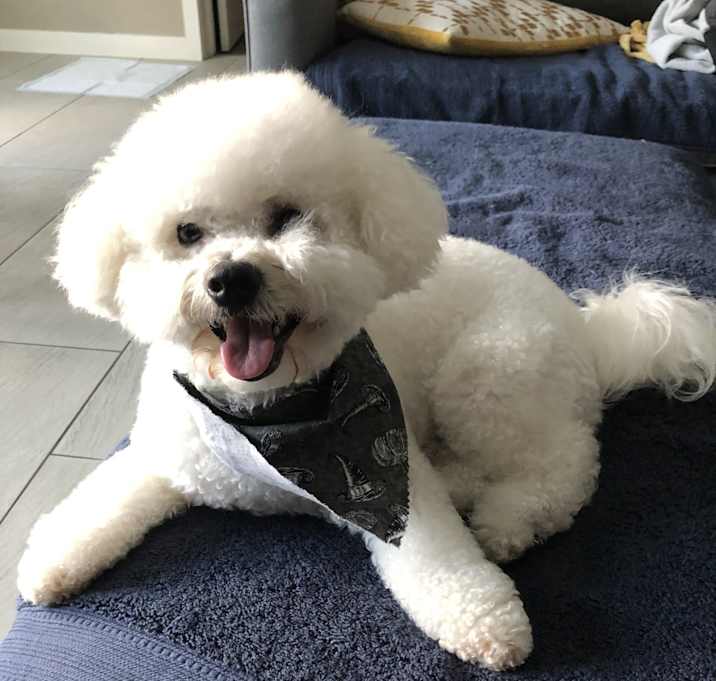 Photo of Roscoe