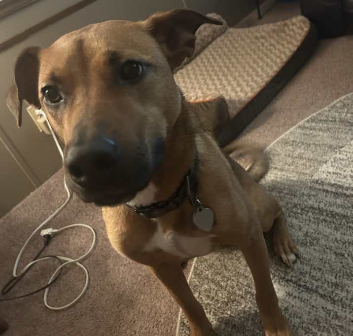 Photo of Benny