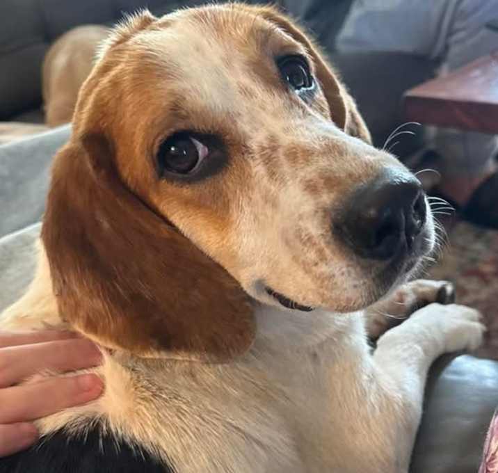 Photo of Millie