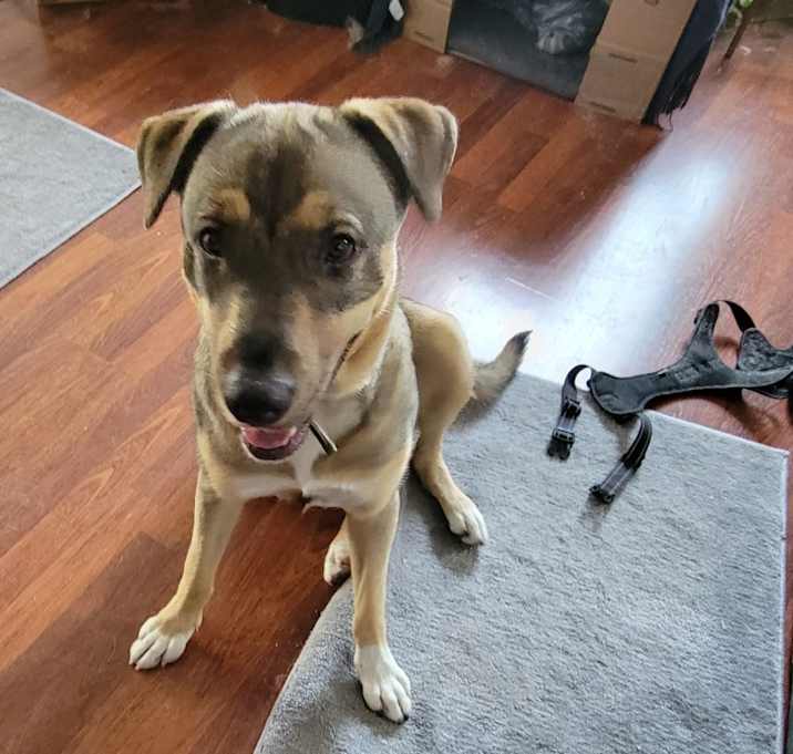 Photo of Sadie