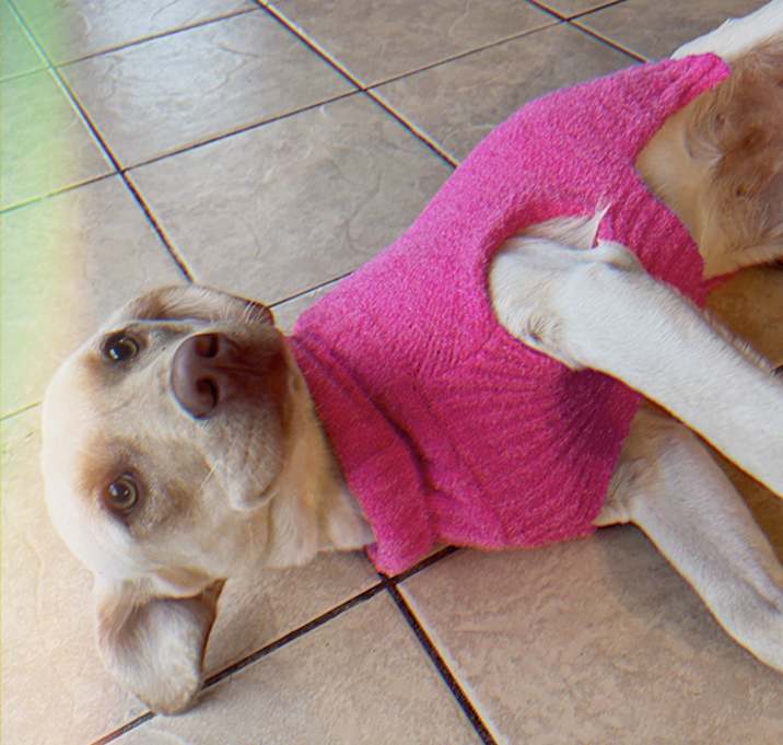 Photo of Leela