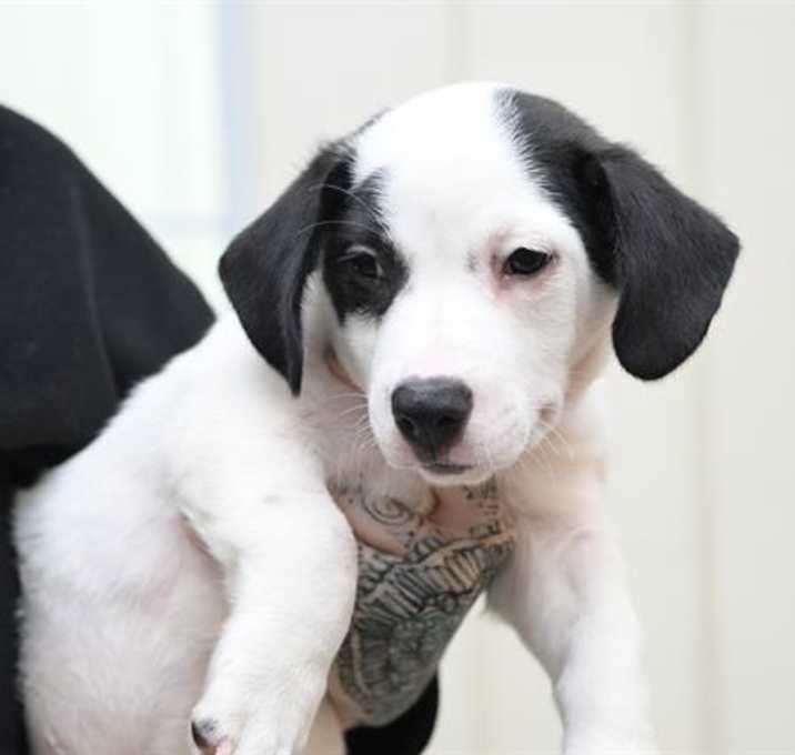 Photo of GRADY