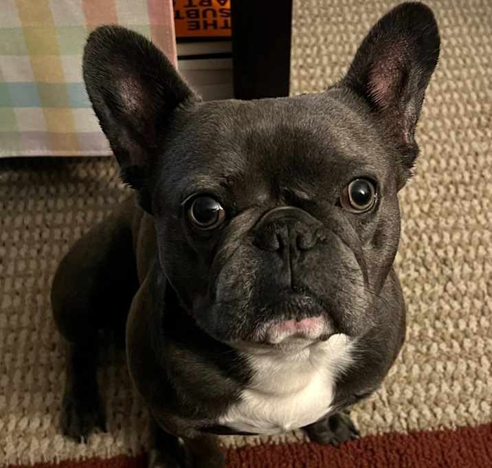 Photo of Zeus