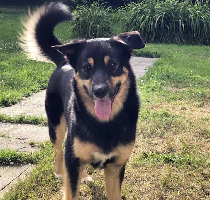 Photo of Jake
