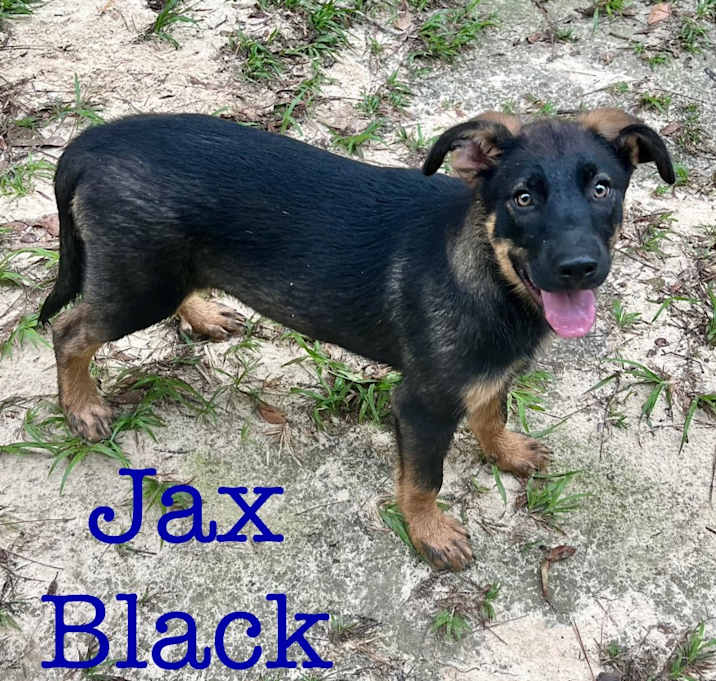Photo of Jax Black