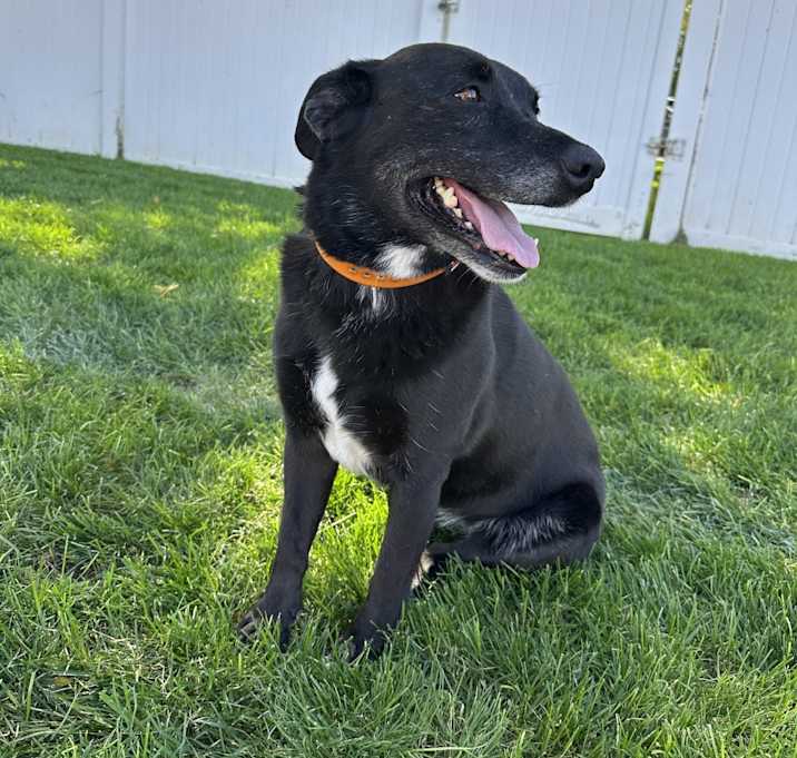 Photo of Nala