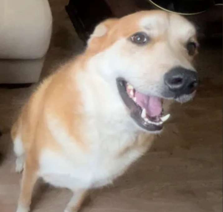 Photo of Oso