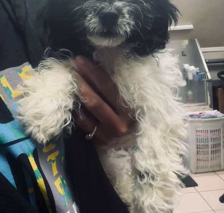 Photo of Teddy