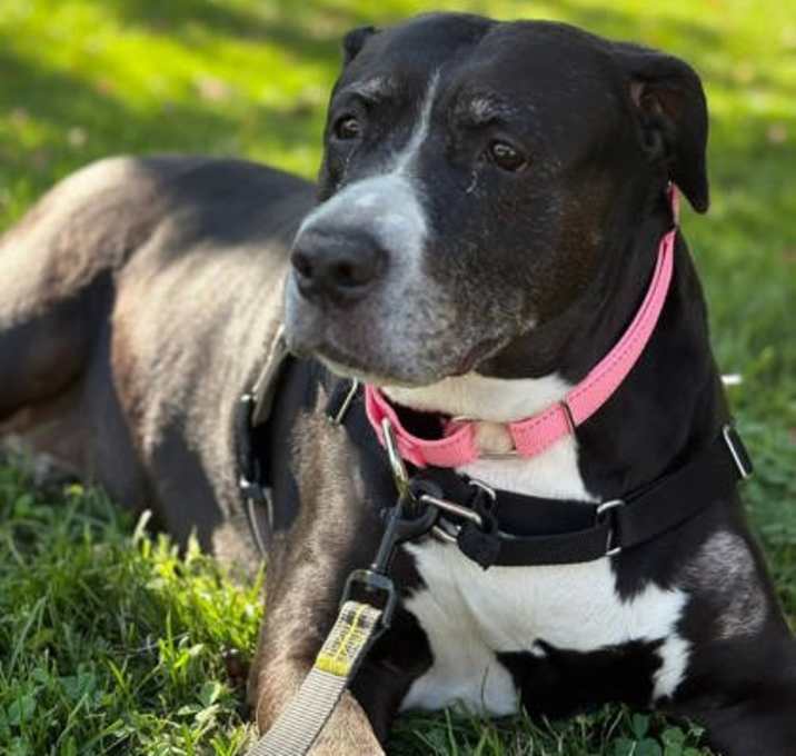 Photo of Cleo