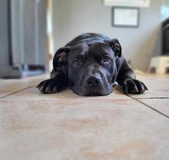 Photo of Chyna -