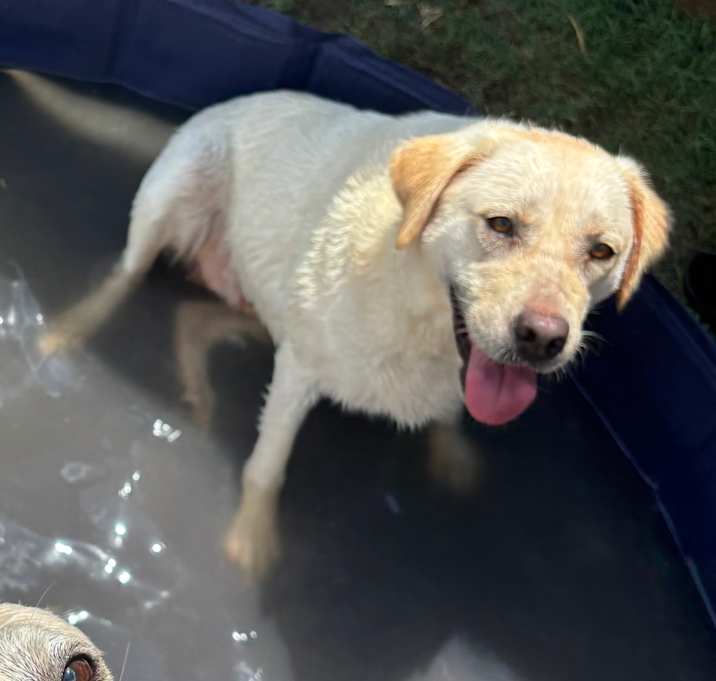 Photo of Connor (M) and Chloe (F)