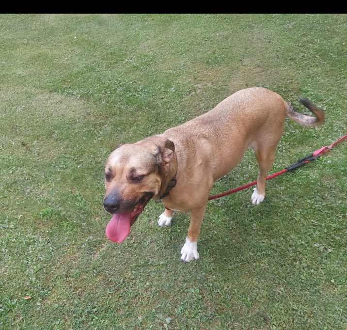 Photo of Daisy