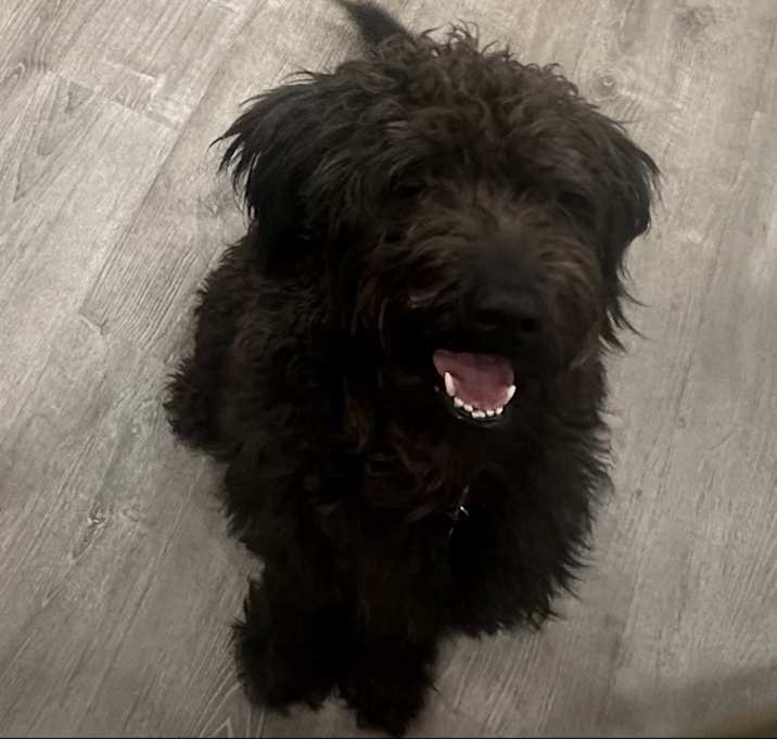 Photo of Finn