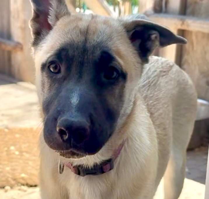 Photo of Lola