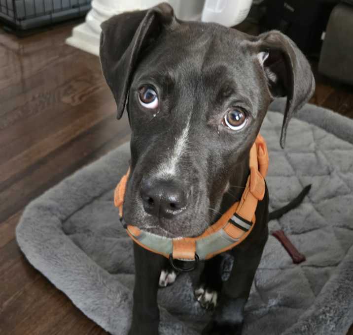 Photo of Kobe