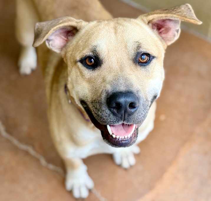 Photo of CHASE