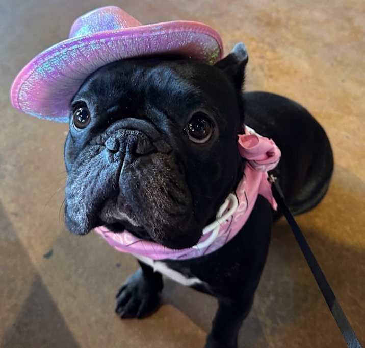 Photo of Lani