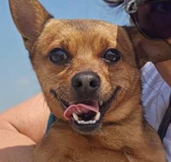 Photo of Howie