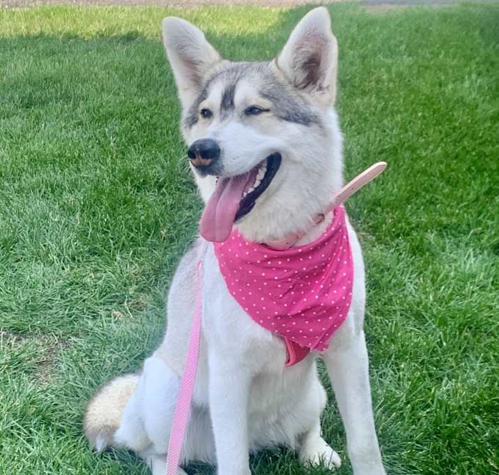 Photo of Kida Snowball
