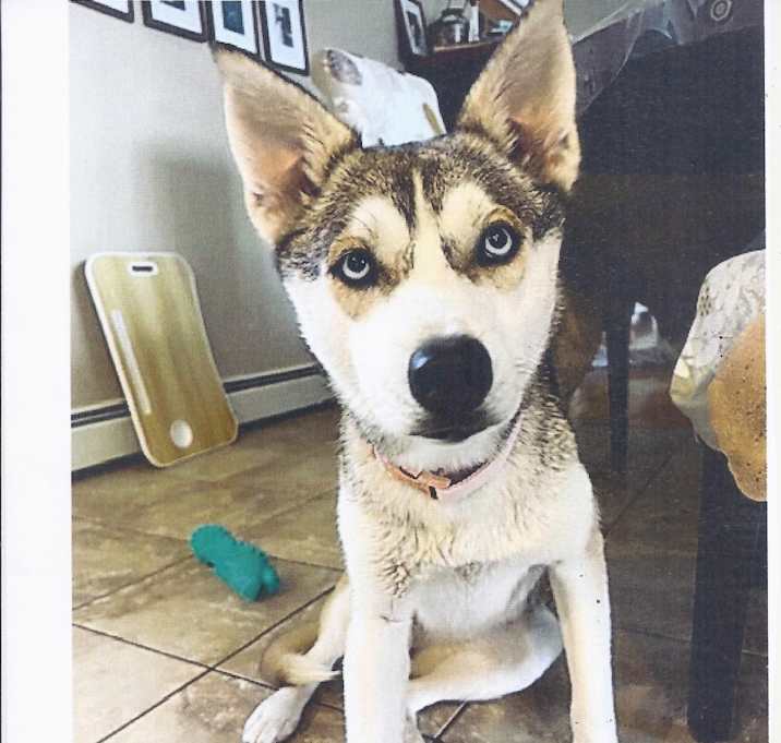 Photo of LUNA