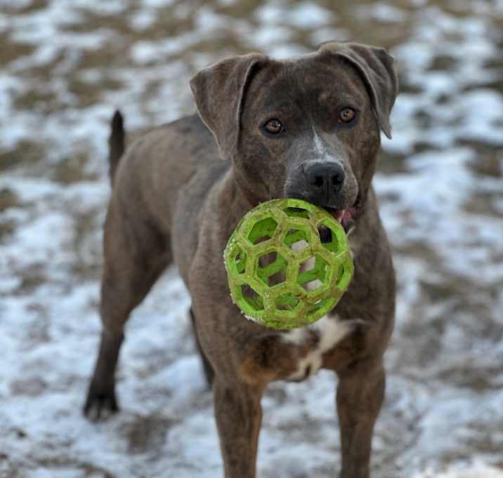 Photo of Ramona