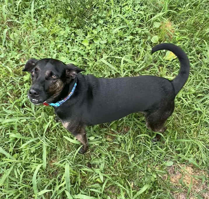 Photo of Pepper