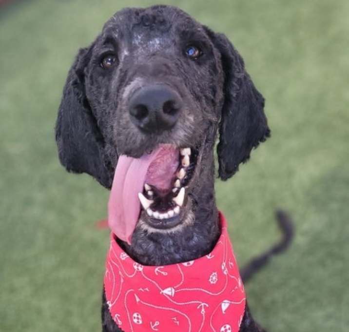 Photo of Harry