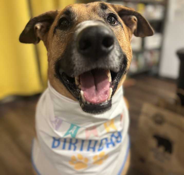 Photo of Buddy