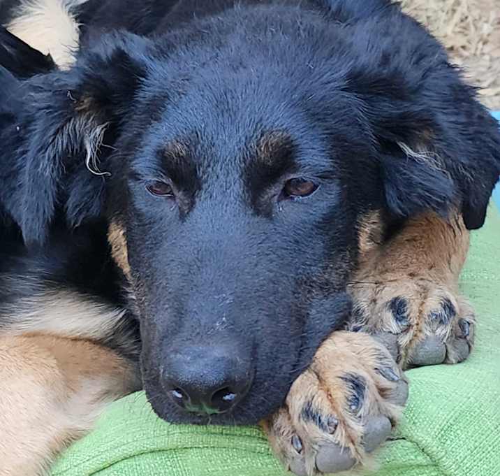 Photo of Hope